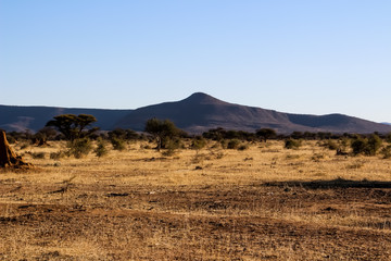 Fototapeta na wymiar Endlose Weiten im fernen Namibia in Süd Afrika