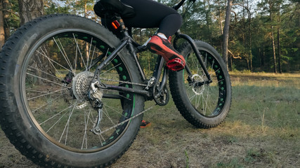 Fototapeta na wymiar Fat bike also called fatbike or fat-tire bike in summer riding in the forest. The woman rides a bicycle among trees and stumps. He overcomes some obstacles on a bumpy road.