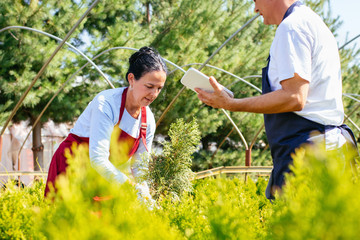 Gardening. Senior couple of gardeners or sellers using tablet and taking online orders at coniferous plant nursery. Small business