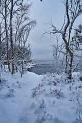 Fototapeta premium Baltic seacoast in winter