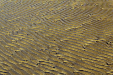 Ripples in the sand texture