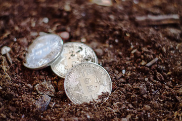 Mining of crypto currencies. Coin bitcoin in the ground. Concept of digging bitcoin