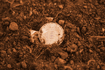 Mining of crypto currencies. Coin bitcoin in the ground. Concept of digging bitcoin