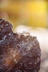 wedding ring - hochzeitsring - heirat - hochzeit