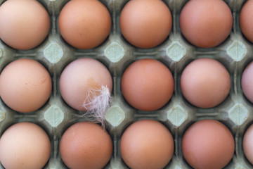 A tray of fresh free range eggs. Shallow depth of field.