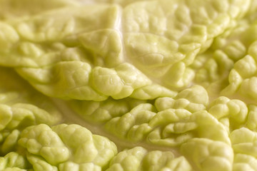 Obraz premium Peking cabbage macro