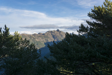 High mountains in the background and pine trees in the foreground. Blue sky with clouds 