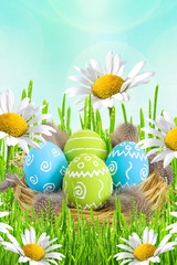Easter card. Painted Easter eggs with feathers in the nest on green grass with flowers daisies on blue blurred background