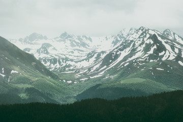 Foggy Mountains and forest Landscape Travel summer serene scenic aerial view