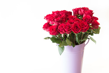 The beautiful red roses bouquet in purple flowerpot on isolate white background.