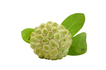 Fototapeta premium Sugar apple on white background.