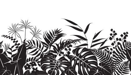 Tropical Plants Silhouette Pattern - 191768097