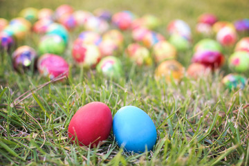 Red and blue easter hen eggs in the grass