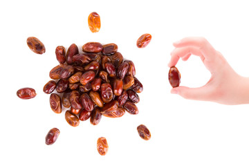 Fruit of date palm in hand.