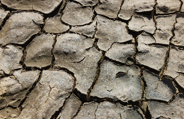 Cracked ground on a field.