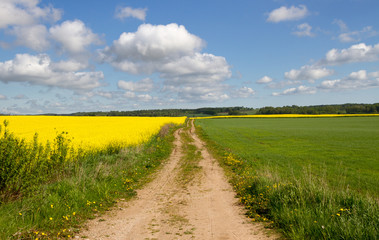 Landscape with country road.
