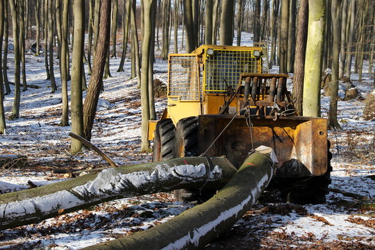Forstschlepper zieht im Winter Baumst&auml;mme aus dem Wald 