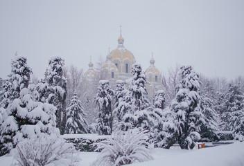Obraz premium Landscape of winter nature with trees