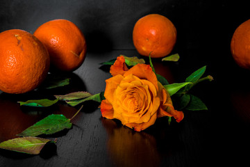 оранжевая роза и мандарины на черном фоне