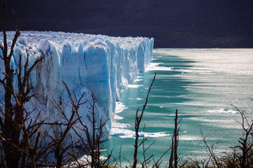 Perito Moreno glacier in argentinian Patagonia, in tha Argentino lake. Glaciers National Park