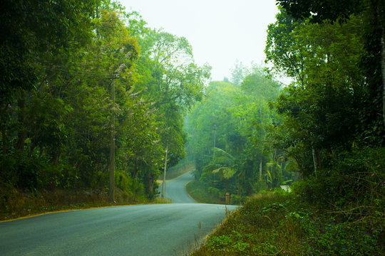 Road