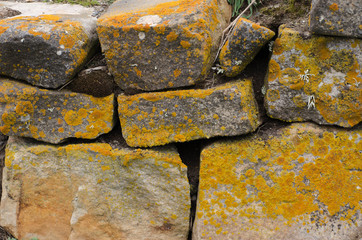 Moss Lichen on Rocks, mother nature