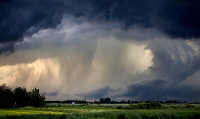 Tornado Warned Storm