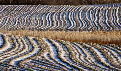 Ploughed Feild in Winter
