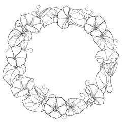Vector round wreath with outline Ipomoea or Morning glory flower, leaf and bud in black isolated on white background. Perennial climbing plant in contour style for summer design and coloring book.