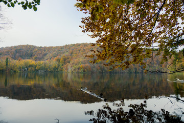 A calm morning on a lake in Plitvice Lakes National Park. A long floats stationary with an overhanging branch with vibrant colors above. The sky is overcast and the background shows the falls colors.
