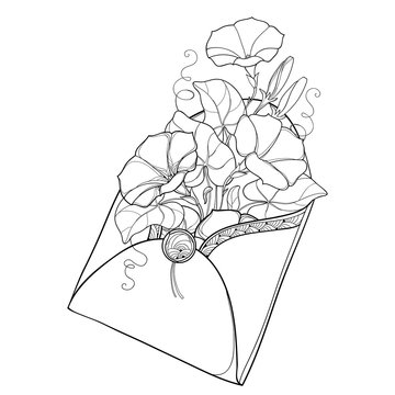 Vector bouquet with outline Ipomoea or Morning glory flower and leaf in open craft envelope in black isolated on white background. Ornate floral for romantic design or coloring book in contour style.