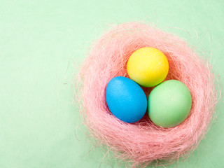 Color easter eggs in pink nest on pastel green background.