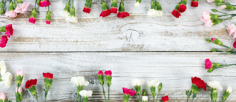 Colorful carnation flower rectangle border on white weathered wooden boards