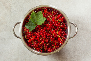 Colander full of freshly harvested red currants. Top view.