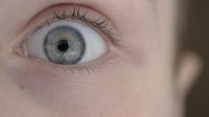 Handsome blue guy's eye (boy).