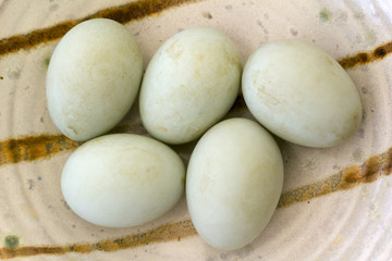 Five fresh free range duck eggs in a bowl. Shallow depth of field.