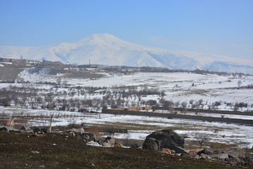 Winter landscape with Hatis (Shamiram) Mountain on background