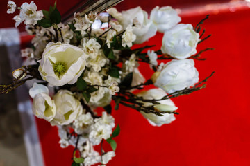 bouquet of white magnolia on red background