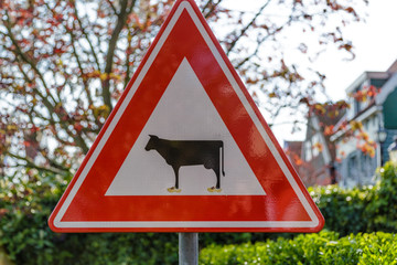 Ironical road sign, cows passing alert - obrazy, fototapety, plakaty