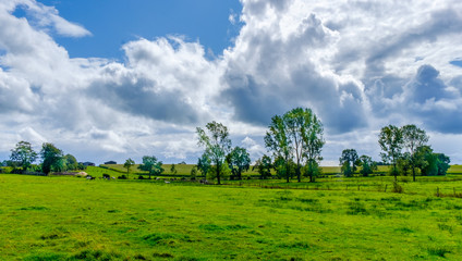 Verdant fields in the Mayenne countryside on an overcast summer day, France 
