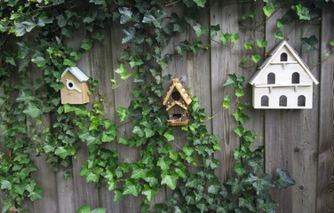 Three wooden birdhouses on a fence