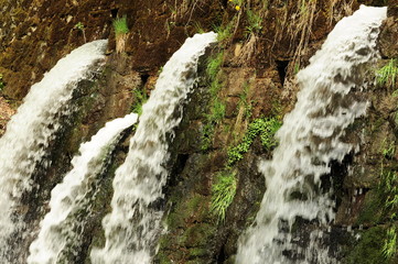 Obraz premium Wodospad, woda wypływająca z ściany. Trzy małe wodospady w lesie. Zdjęcie ostre ze zbliżeniem.