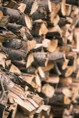 Warm firewood, pile of wood, stacked logs
