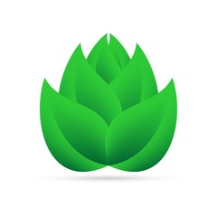 Eco icon from green leaves above myself on a white background with gray shadow on the bottom. Abstract design natural plant 