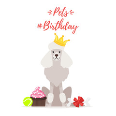 Dog Birthday party greeting card