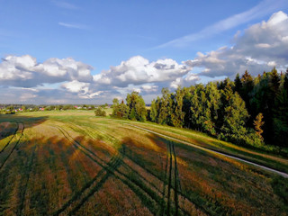 Fototapeta na wymiar Aerial view over a meadow and forest with a village in the distance