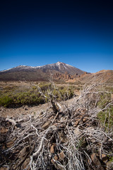 Tenerife, Canary Islands, Spain - Parque Nacional del Teide