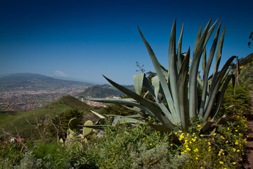 Tenerife, Canary Islands, Spain - Teide National Park