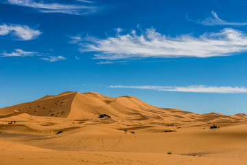 Fototapeta na wymiar Dune de sable dans le désert du Sahara
