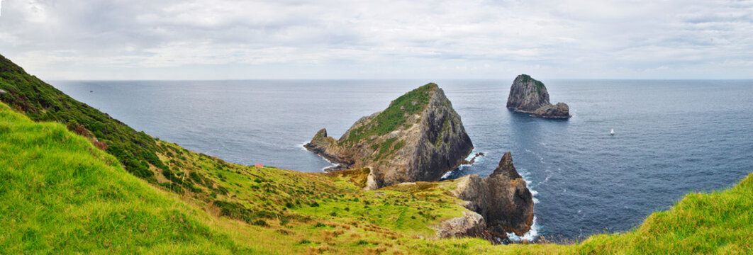 View of amazing nature in New Zealand. Green grass, blue ocean and cloudy  sky in the background. Cape Brett track, Bay of Islands.